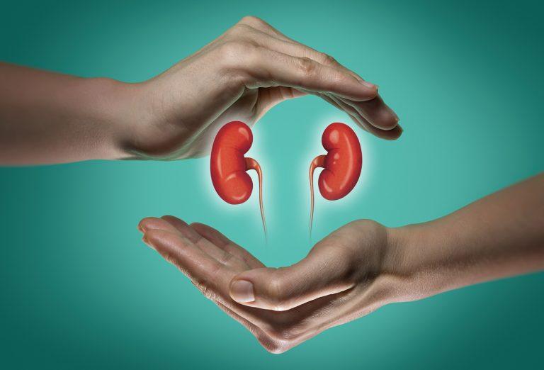 Dia Mundial do Rim: A importância de cuidar da saúde renal