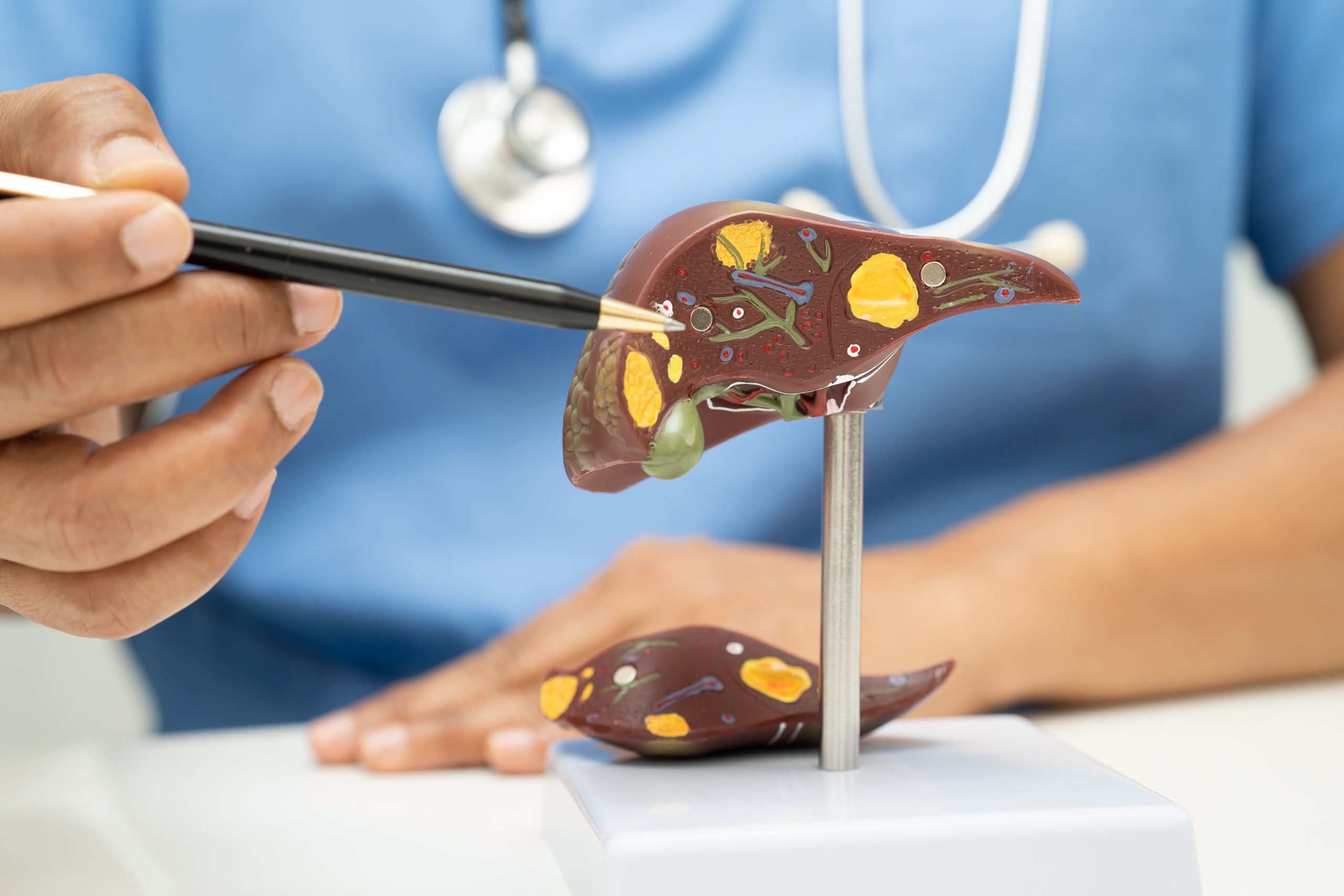 Dia Mundial de Combate à Hepatite