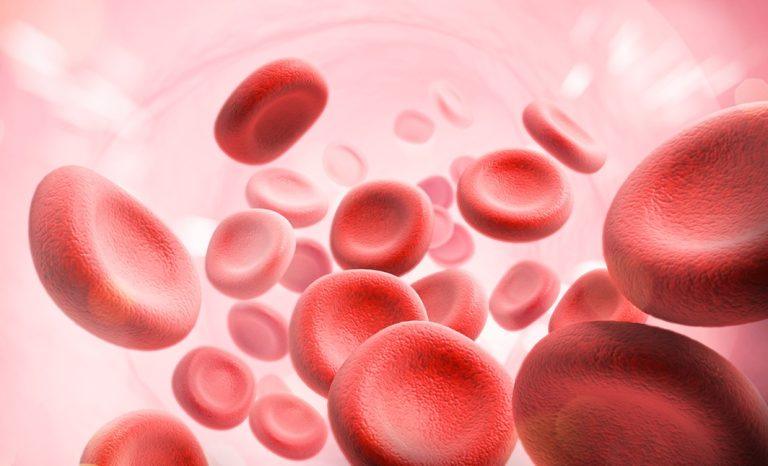 Dia Internacional da Hemofilia: informação, cuidado e empatia salvam vidas