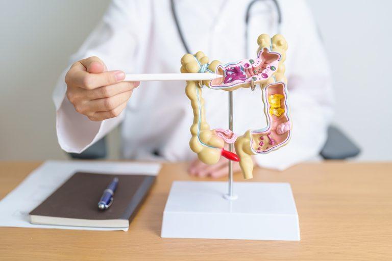 Pequenos hábitos, grandes benefícios para a saúde digestiva